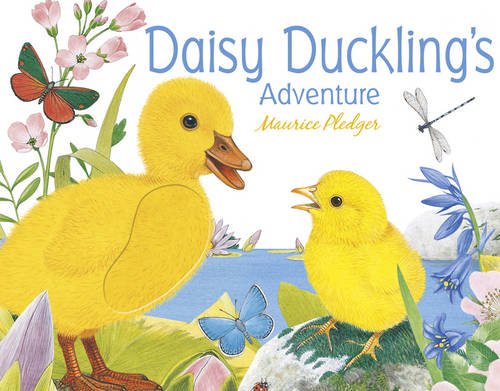 Stock image for Daisy Duckling's Adventure for sale by AwesomeBooks