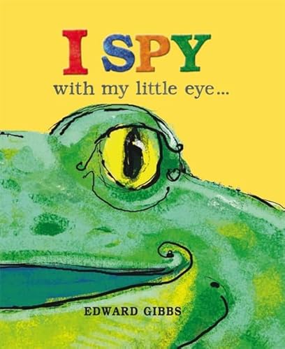9781848777149: I Spy With My Little Eye