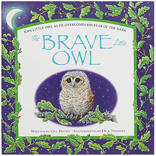 Stock image for The Brave Little Owl for sale by Reuseabook