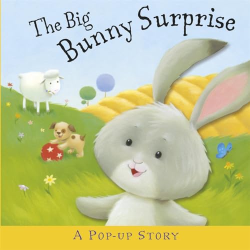 Beispielbild fr The Big Bunny Surprise zum Verkauf von WorldofBooks