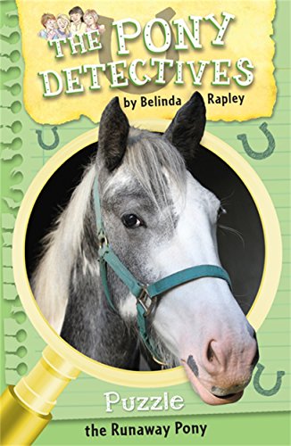 9781848778351: Puzzle: The Runaway Pony (The Pony Detectives)