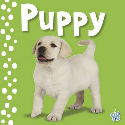 Beispielbild fr Touch and Feel Puppy (Busy Baby) zum Verkauf von WorldofBooks