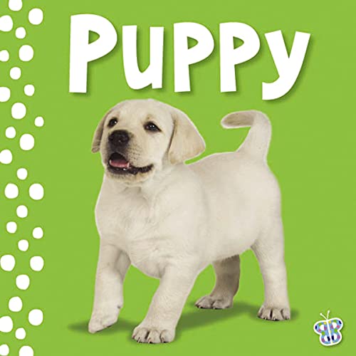 Beispielbild fr Touch and Feel - Puppy (Busy Baby) zum Verkauf von Reliant Bookstore