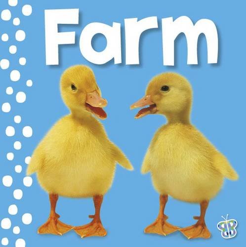 Beispielbild fr Touch and Feel Farm (Busy Baby) zum Verkauf von WorldofBooks