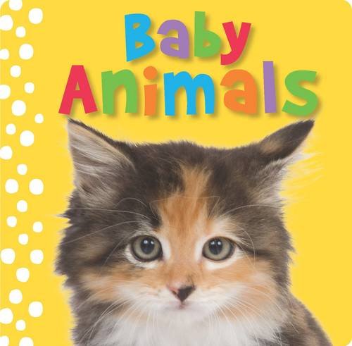 Touch and Feel Baby Animals (Busy Baby) (9781848793583) by Creese, Sarah