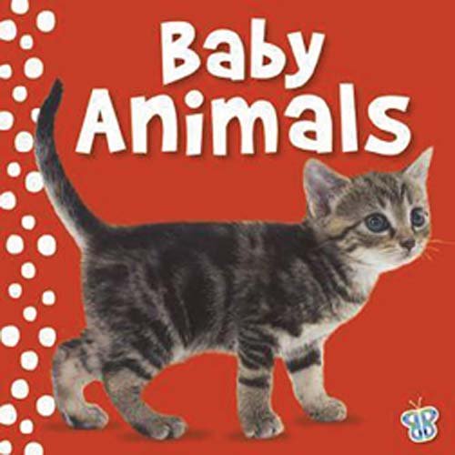 Imagen de archivo de Touch and Feel - Baby Animals (Busy Baby) a la venta por Ebooksweb