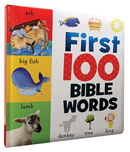 9781848796041: First 100 Bible Words