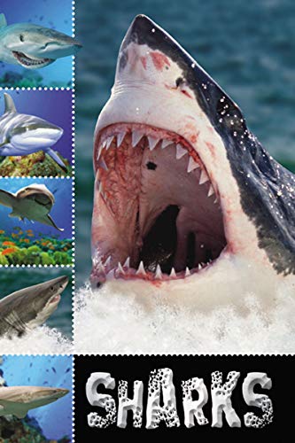 Stock image for Sharks (Ready To Read) for sale by Orion Tech