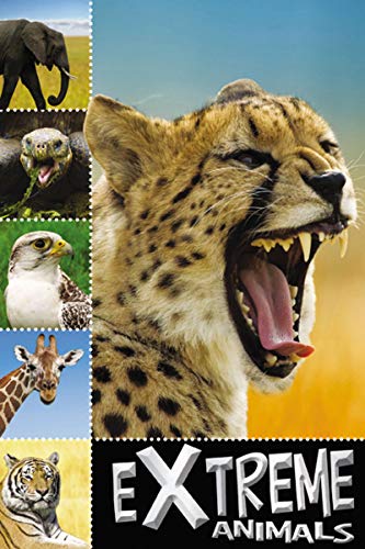 Stock image for Extreme Animals (Ready To Read) for sale by SecondSale