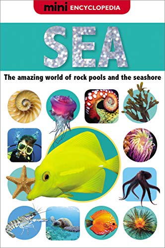 9781848797628: Mini Encyclopedia Sea