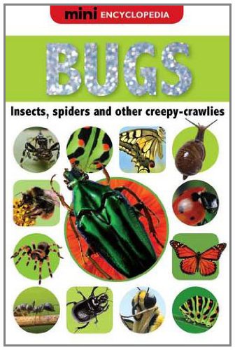 Beispielbild fr Mini Encyclopedias Bugs zum Verkauf von AwesomeBooks