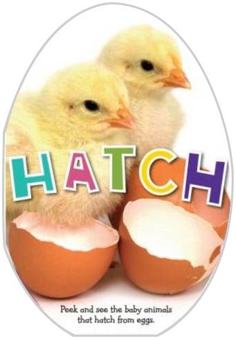 Stock image for Hatch for sale by MusicMagpie