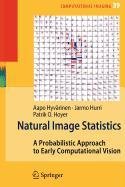 9781848825031: Natural Image Statistics