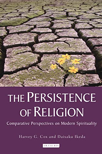 9781848851948: The Persistence of Religion: Comparitive Perspectives on Modern Spirituality