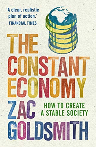 Stock image for The Constant Economy: How to Create a Stable Society for sale by AwesomeBooks