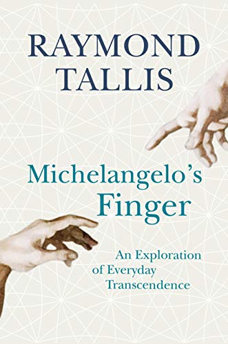 Stock image for Michelangelo's Finger: An Exploration of Everyday Transcendence for sale by WorldofBooks