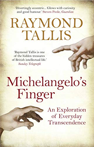 Stock image for Michelangelo's Finger: An Exploration of Everyday Transcendence for sale by WorldofBooks