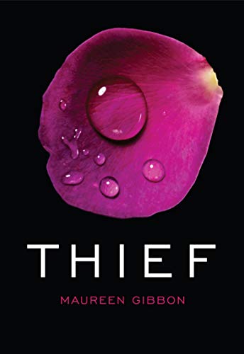 Beispielbild fr Thief zum Verkauf von WorldofBooks