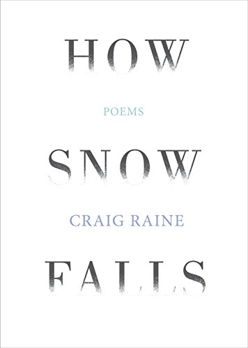How Snow Falls (9781848872868) by Raine, Craig