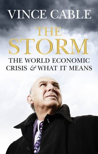 Imagen de archivo de The Storm: The World Economic Crisis and What it Means a la venta por AwesomeBooks