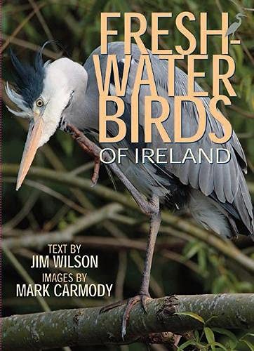 Imagen de archivo de Freshwater Birds of Ireland a la venta por ThriftBooks-Dallas