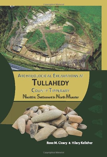 9781848891333: Archaeological Excavations at Tullahedy, County Tipper: Neolithic Settlement in North Munster