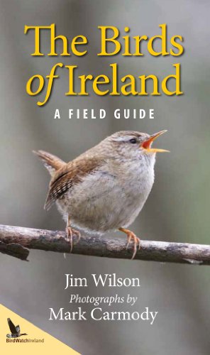 Imagen de archivo de The Birds of Ireland: A Field Guide a la venta por ThriftBooks-Dallas