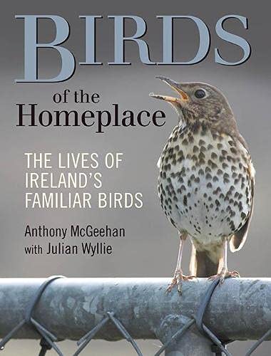 Beispielbild fr Birds of the Homeplace: The Lives of Ireland's Familiar Birds zum Verkauf von WorldofBooks