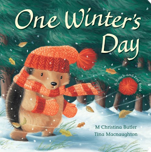 9781848950443: One Winter's Day