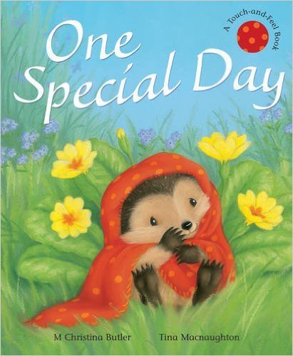 Imagen de archivo de Ons Special Day (Touch & Feel) a la venta por ThriftBooks-Atlanta