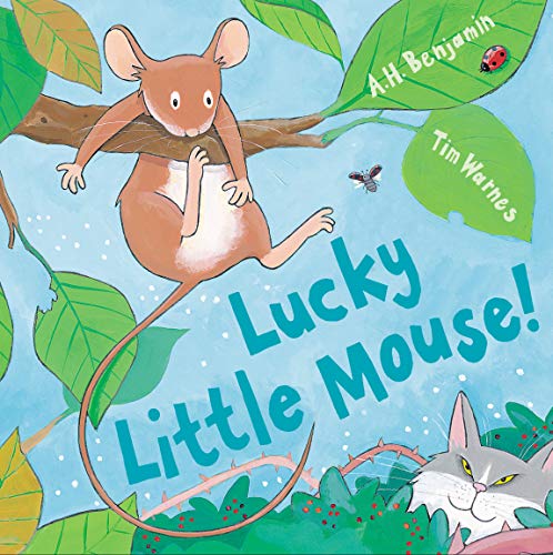 Beispielbild fr Lucky Little Mouse (Mini Hardbacks) zum Verkauf von WorldofBooks