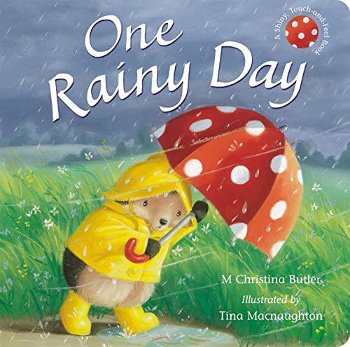 9781848952232: One Rainy Day