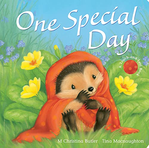 Imagen de archivo de One Special Day a la venta por Better World Books