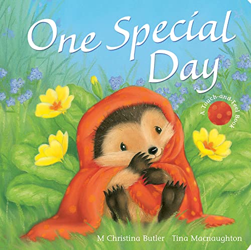 Stock image for One Special Day for sale by Zoom Books Company