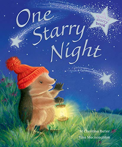 9781848954847: One Starry Night (Little Hedgehog)