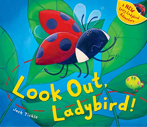 Look Out, Ladybird! (9781848955455) by Jack Tickle; Jane Chapman