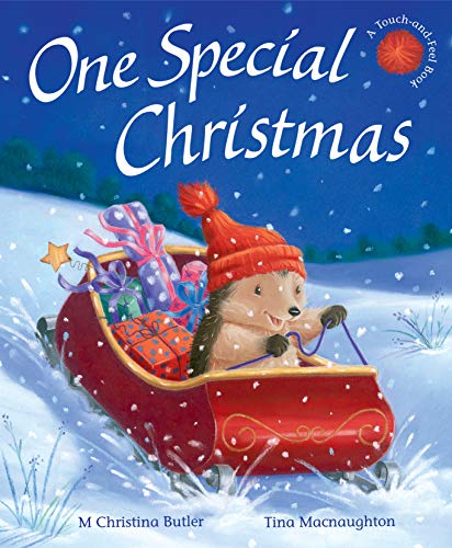 9781848956483: One Special Christmas (Little Hedgehog)