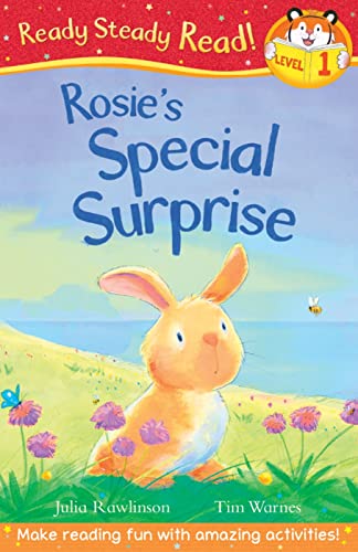 Imagen de archivo de Rosie's Special Surprise (Ready Steady Read) a la venta por WorldofBooks