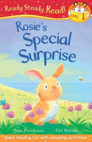 9781848956667: Rosie's Special Surprise (Ready Steady Read)