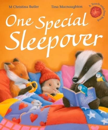 Imagen de archivo de One Special Sleepover (Little Hedgehog) a la venta por WorldofBooks