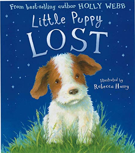 Beispielbild fr Little Puppy Lost zum Verkauf von WorldofBooks