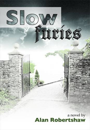 Imagen de archivo de Slow Furies a la venta por Revaluation Books