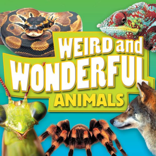 Weird and Wonderful Animals (9781848981812) by Clarke, Brenda; Orme, Helen; Taylor, Barbara; Williams, Brian