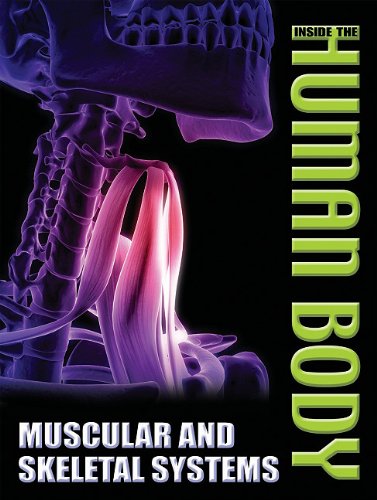 9781848983304: Muscular and Skeletal Systems (Inside the Human Body)