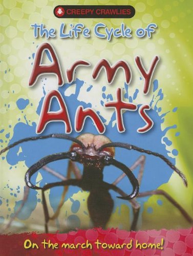 Beispielbild fr The Life Cycle of Army Ants zum Verkauf von Better World Books
