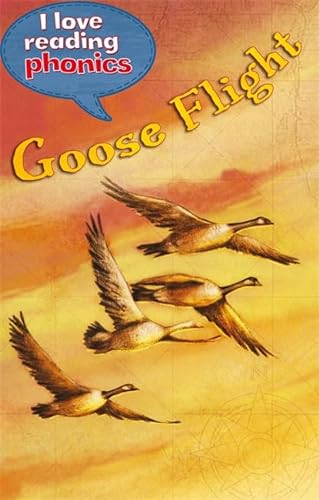 Stock image for I Love Reading Phonics Level 5: Goose Flight for sale by AwesomeBooks