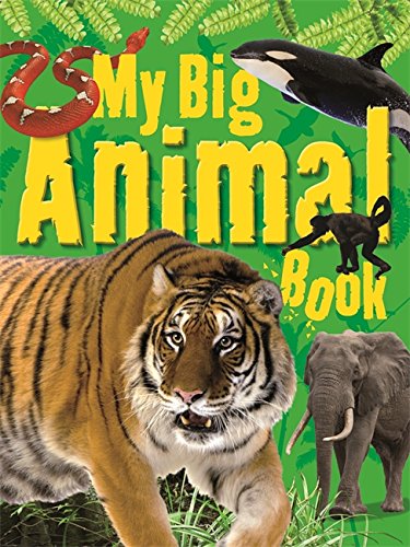 9781848988101: My Big Animal Book