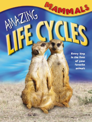 9781848988569: Amazing Life Cycles: Mammals