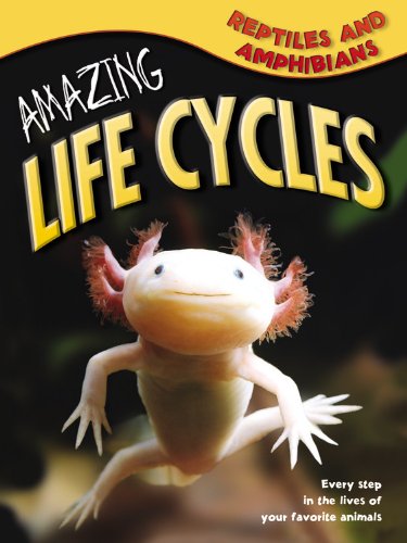 Beispielbild fr Reptiles & Amphibians (Amazing Life Cycles) zum Verkauf von Wonder Book