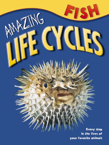 Beispielbild fr Fish (Amazing Life Cycles) zum Verkauf von Wonder Book